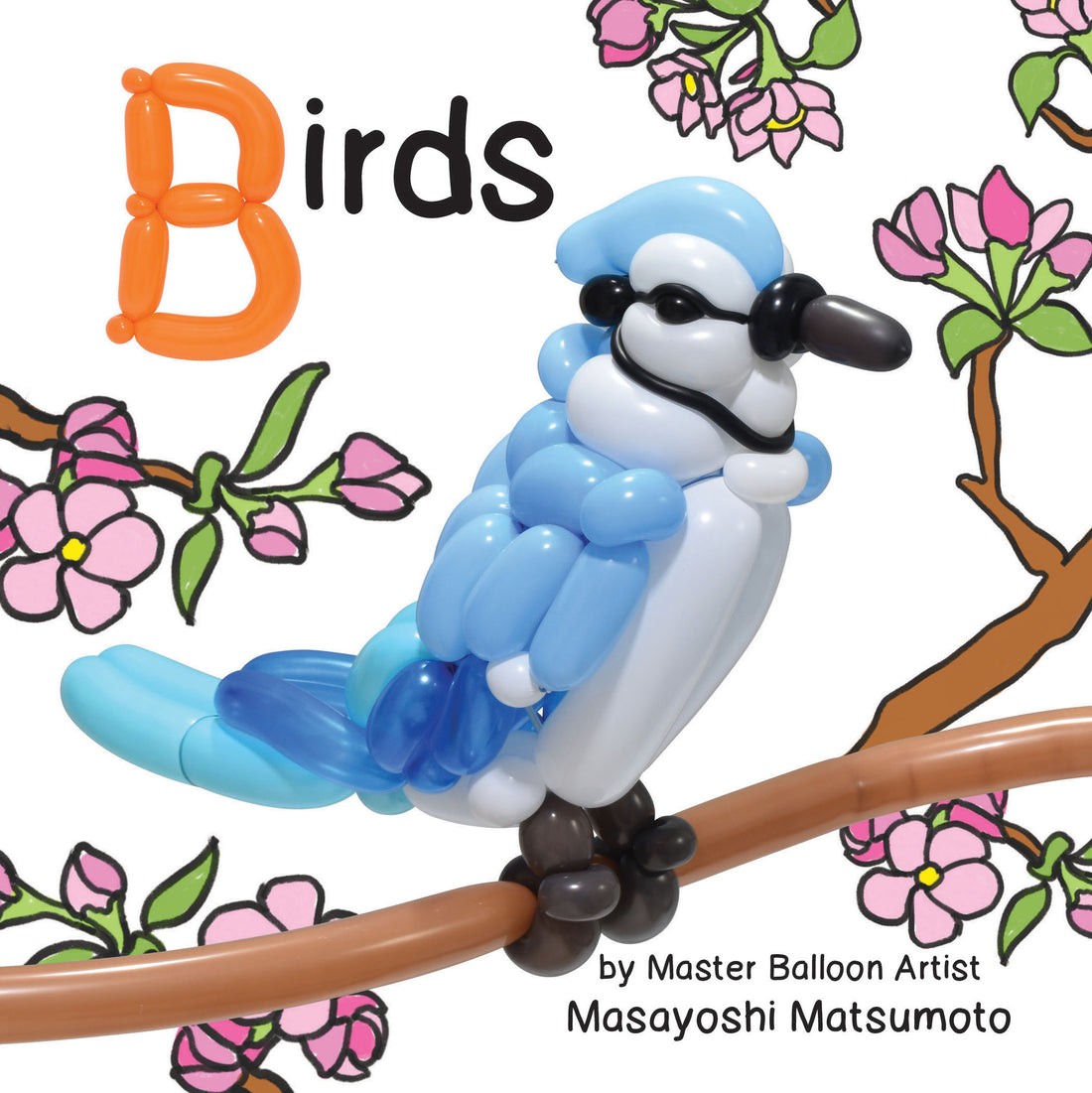 Balloon Art Books Birds Flowerpot Press